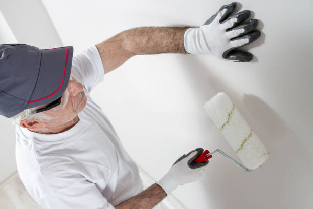 Best Airborne Mold Testing  in Wausau, WI