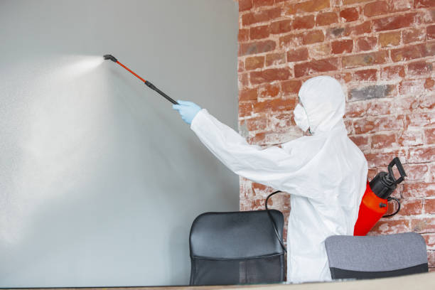 Best Forensic Mold Investigation  in Wausau, WI