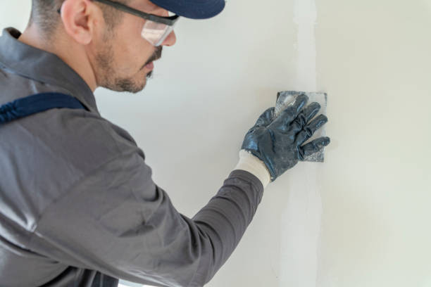 Best Comprehensive Air Testing for Mold Contaminants  in Wausau, WI
