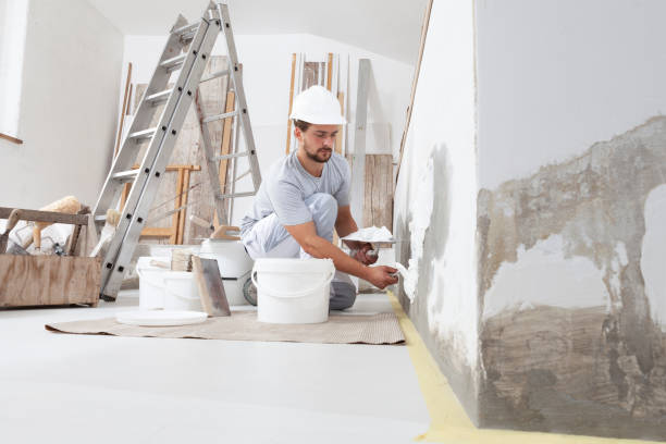 Best Mold Removal for HVAC Installations  in Wausau, WI