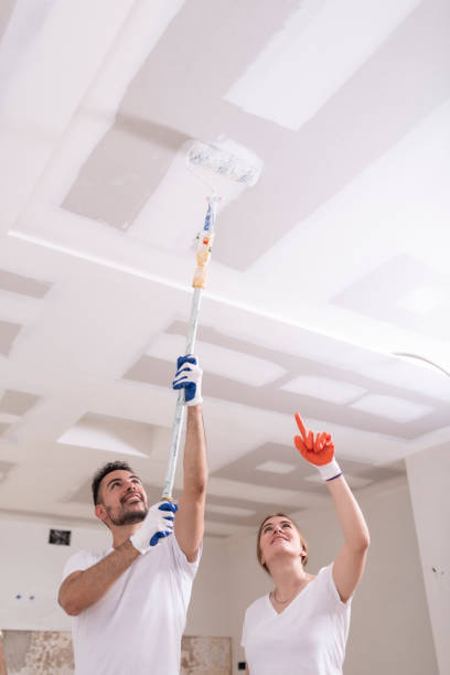 Best Residential Mold Inspection & Testing  in Wausau, WI
