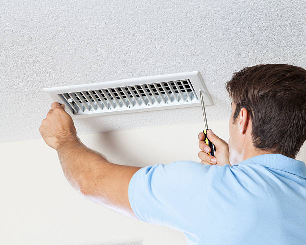 Reliable Wausau, WI Mold Removal Solutions