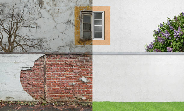 Best Emergency Mold Remediation  in Wausau, WI