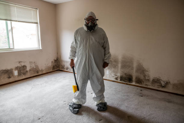 Best Mold Odor Removal Services  in Wausau, WI